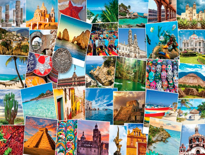 Nitza - Renta de unidades